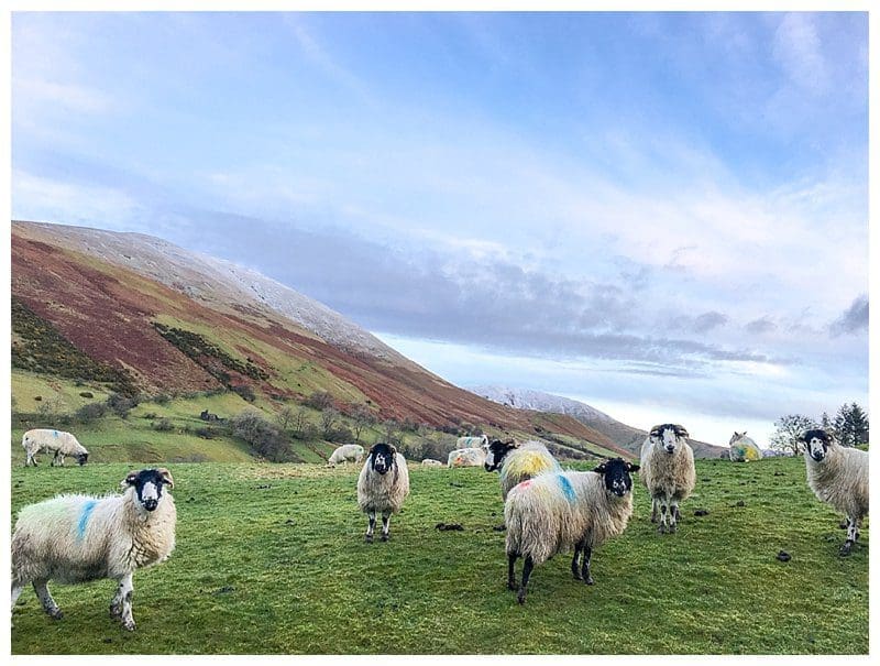 Cumbria,Joanne Withers Photography,St Marks Cautley,St Marks Stays,Yorkshire Dales,iPhone Images, 2017-06-28_0029.jpg