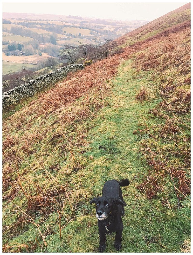 Cumbria,Damian Withers,Joanne Withers Photography,St Marks Cautley,St Marks Stays,Yorkshire Dales, 2017-06-28_0036.jpg