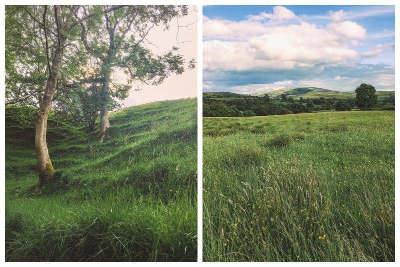 Walking Cautley to Sedbergh