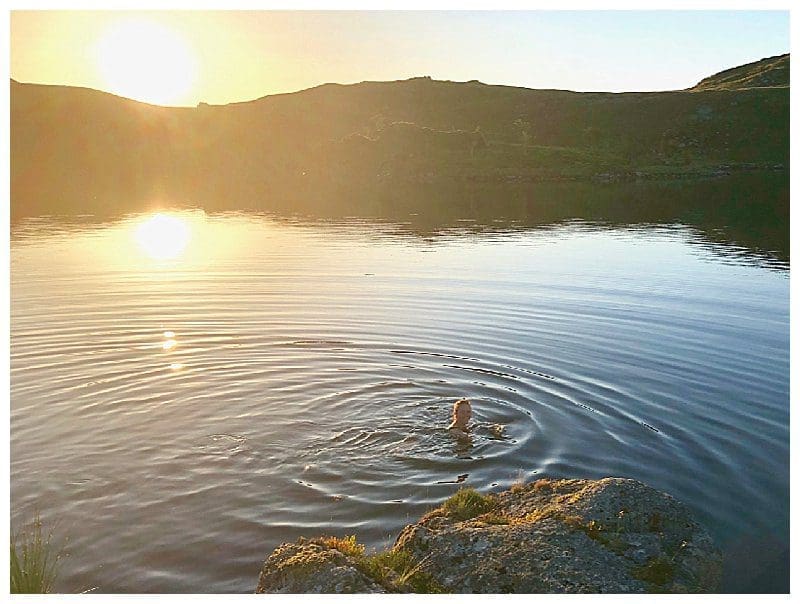 2018-07-03_0003.jpg 2018-07-03_0003.jpg