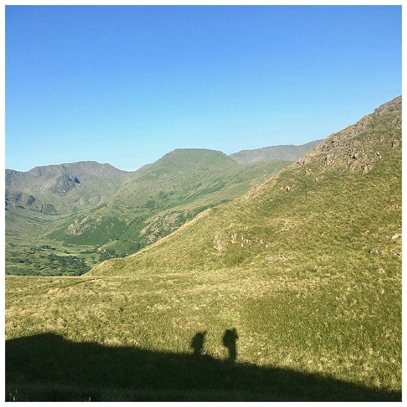 2018-07-03_0011.jpg 2018-07-03_0011.jpg