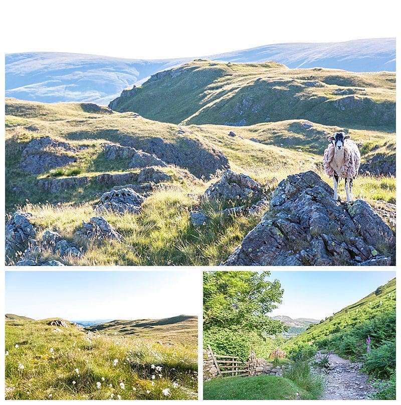 Angle Tarn,Cumbria,Fine Art Photography,Joanne Withers Photography,Lake District,Landscape Photography,Patterdale,Photographer Cumbria,St Marks Stays,Stock Images, Angle Tarn,Cumbria,Fine Art Photography,Joanne Withers Photography,Lake District,Landscape Photography,Patterdale,Photographer Cumbria,St Marks Stays,Stock Images,