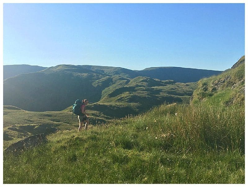 2018-07-03_0013.jpg 2018-07-03_0013.jpg