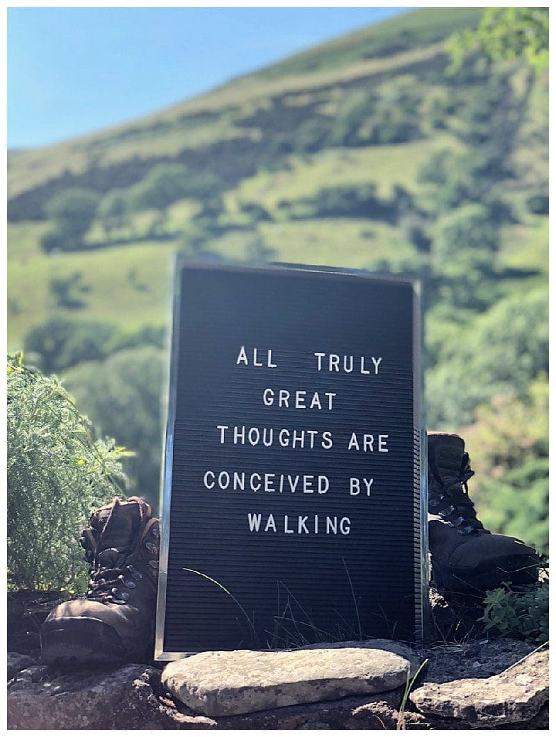 2018-07-09_0005.jpg 2018-07-09_0005.jpg