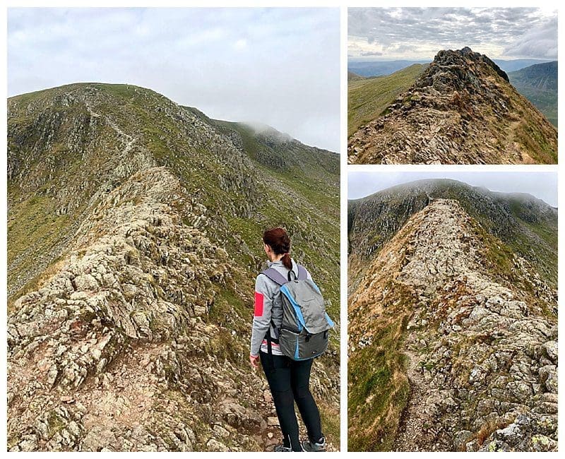 2018-07-29_0012.jpg 2018-07-29_0012.jpg