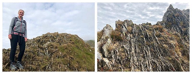 2018-07-29_0017.jpg 2018-07-29_0017.jpg