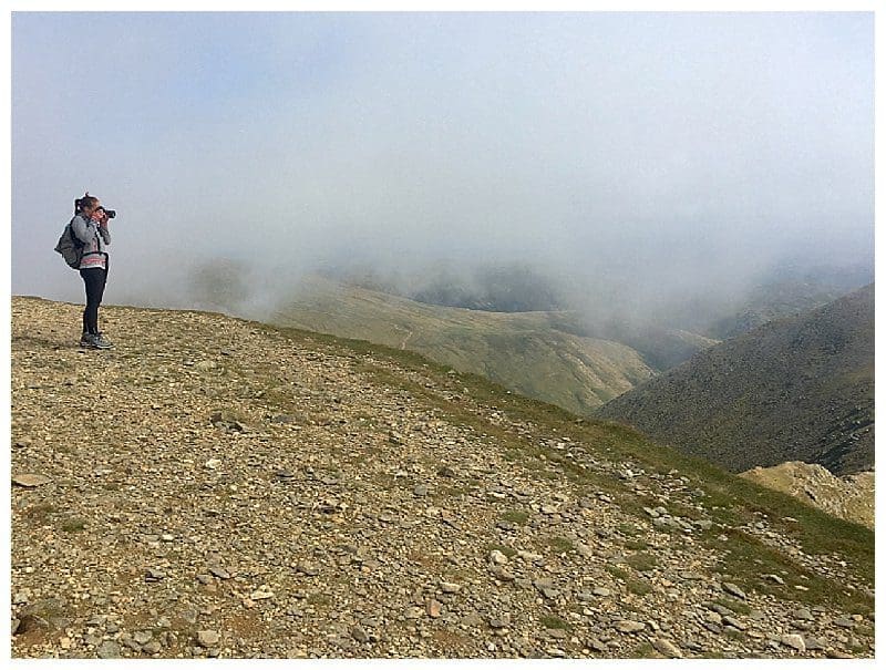 2018-07-29_0032.jpg 2018-07-29_0032.jpg