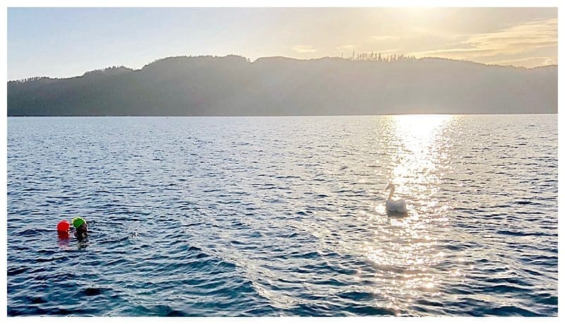 2019-04-02_0027.jpg 2019-04-02_0027.jpg