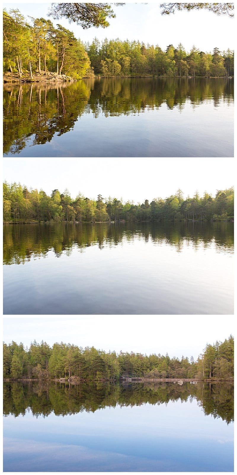 2019-05-30_0002.jpg 2019-05-30_0002.jpg