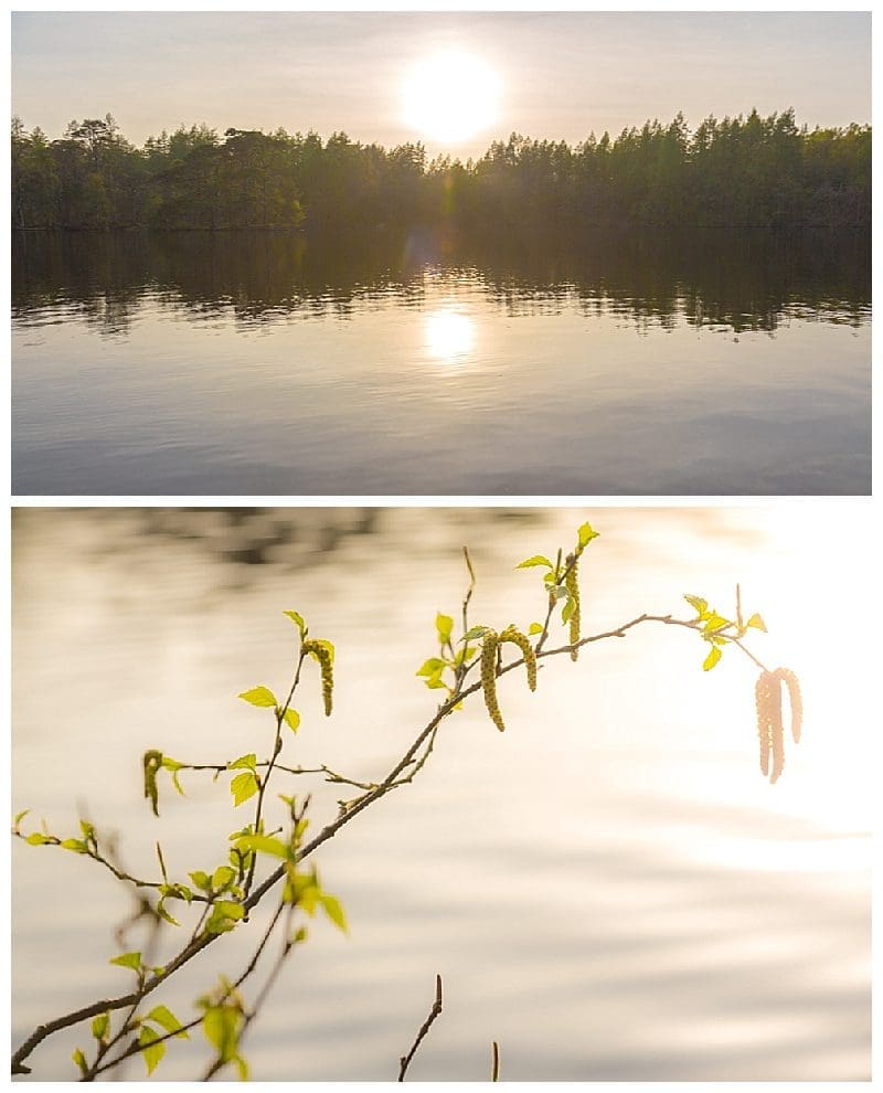 2019-05-30_0003.jpg 2019-05-30_0003.jpg