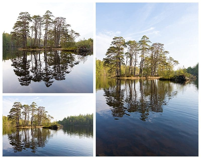 2019-05-30_0004.jpg 2019-05-30_0004.jpg