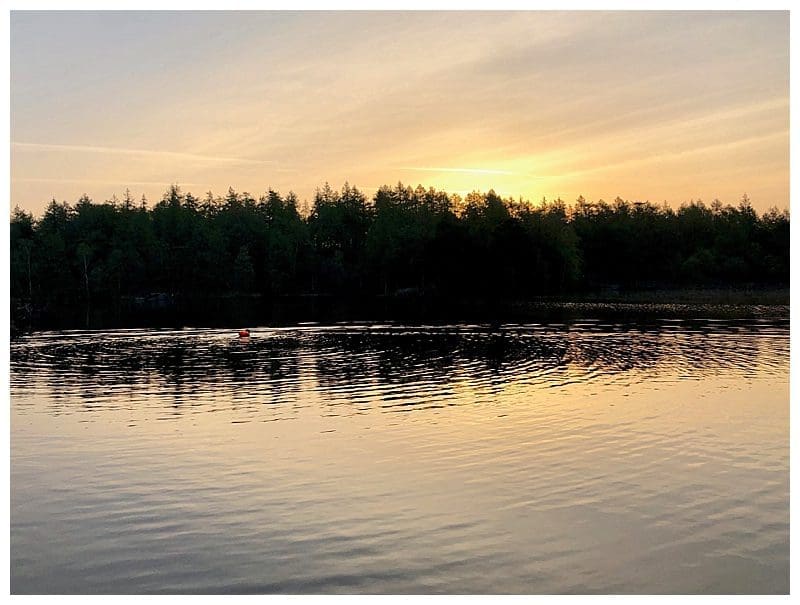 2019-05-30_0005.jpg 2019-05-30_0005.jpg