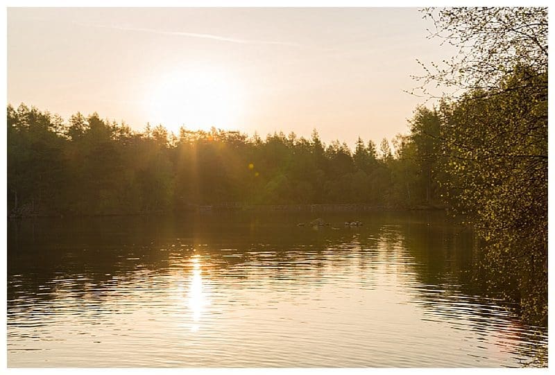 2019-05-30_0006.jpg 2019-05-30_0006.jpg