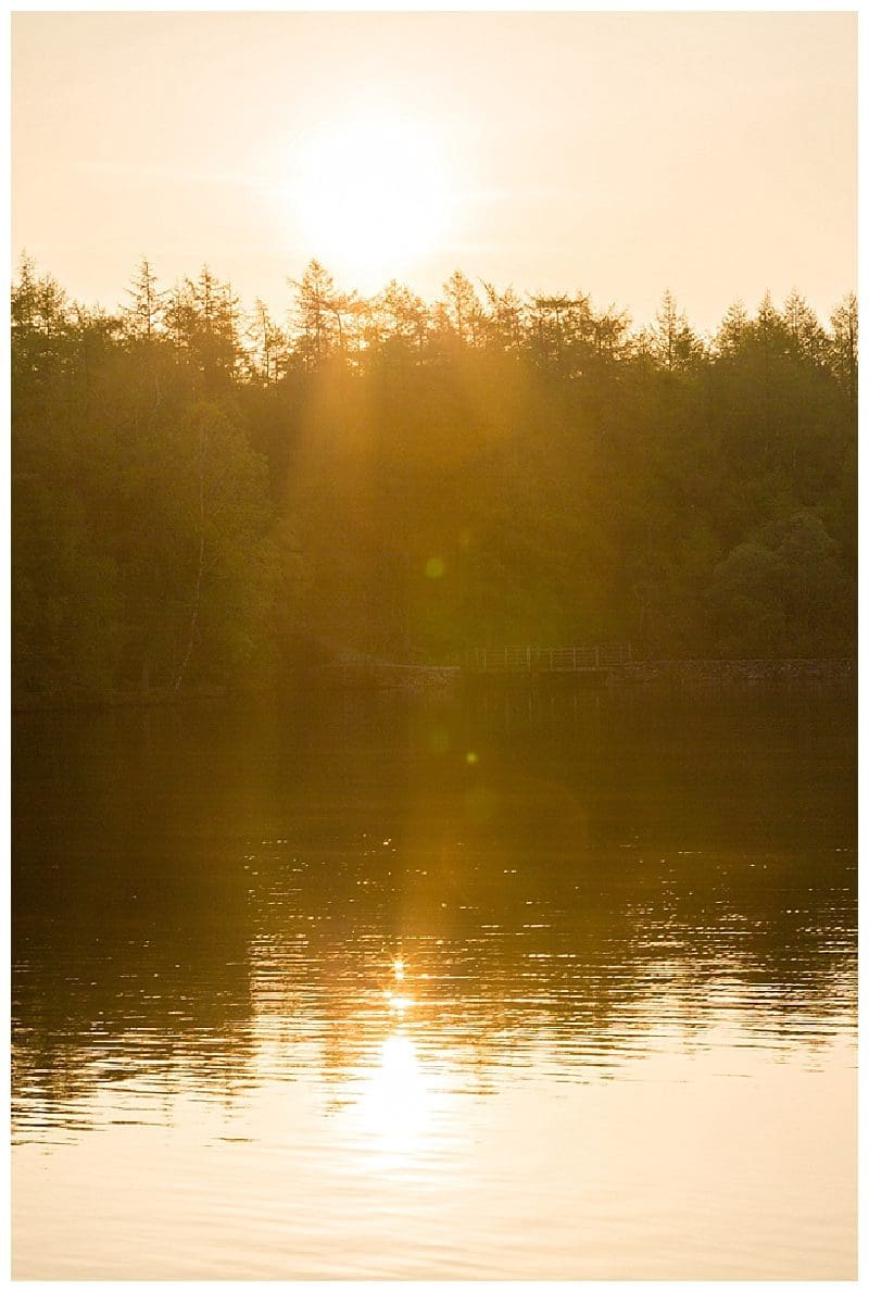 2019-05-30_0007.jpg 2019-05-30_0007.jpg