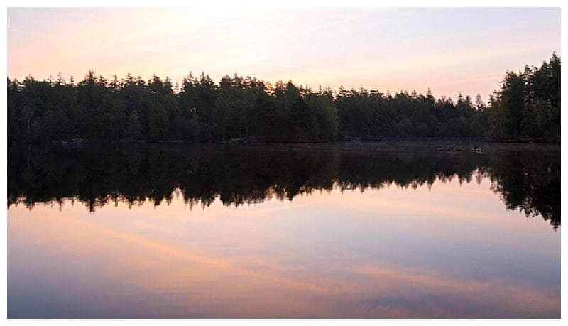 2019-05-30_0008.jpg 2019-05-30_0008.jpg