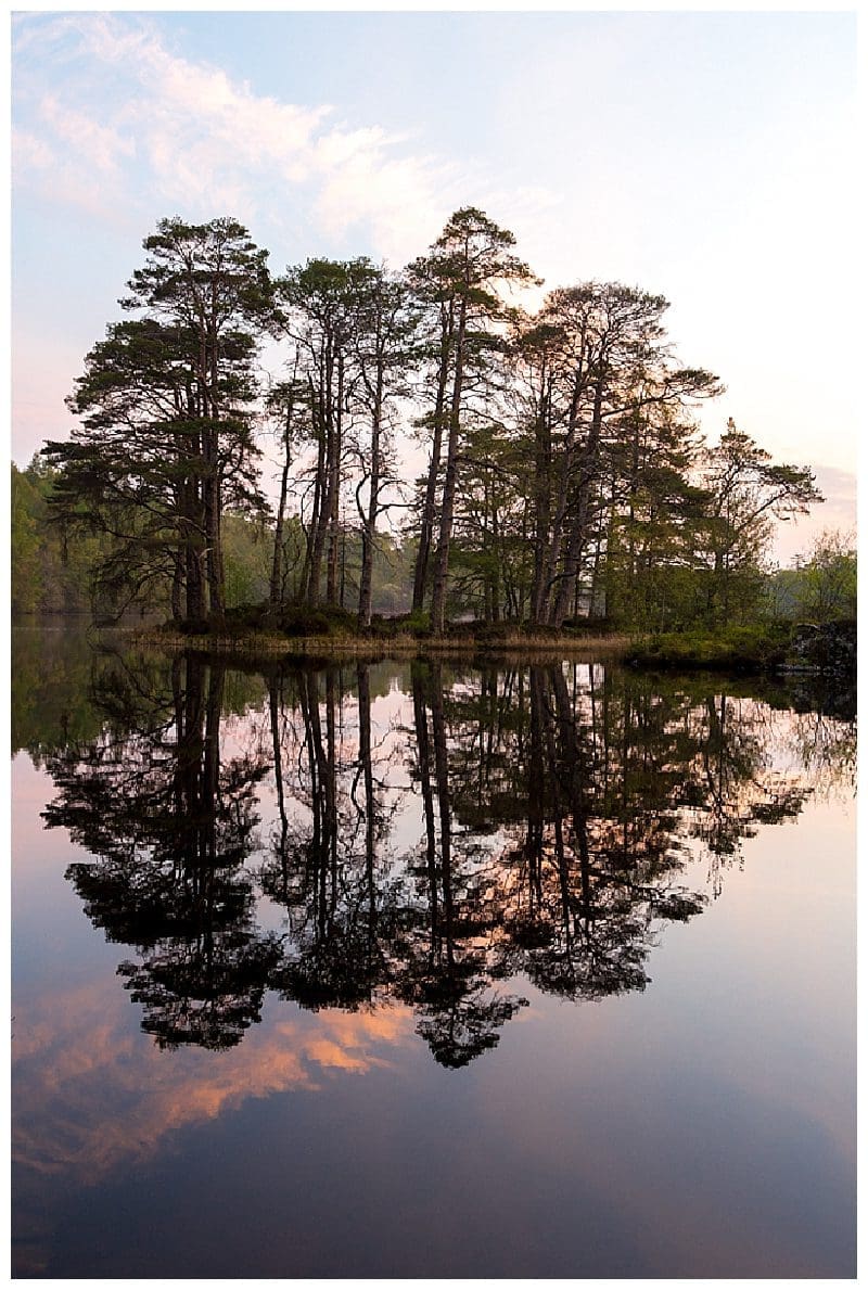 2019-05-30_0009.jpg 2019-05-30_0009.jpg