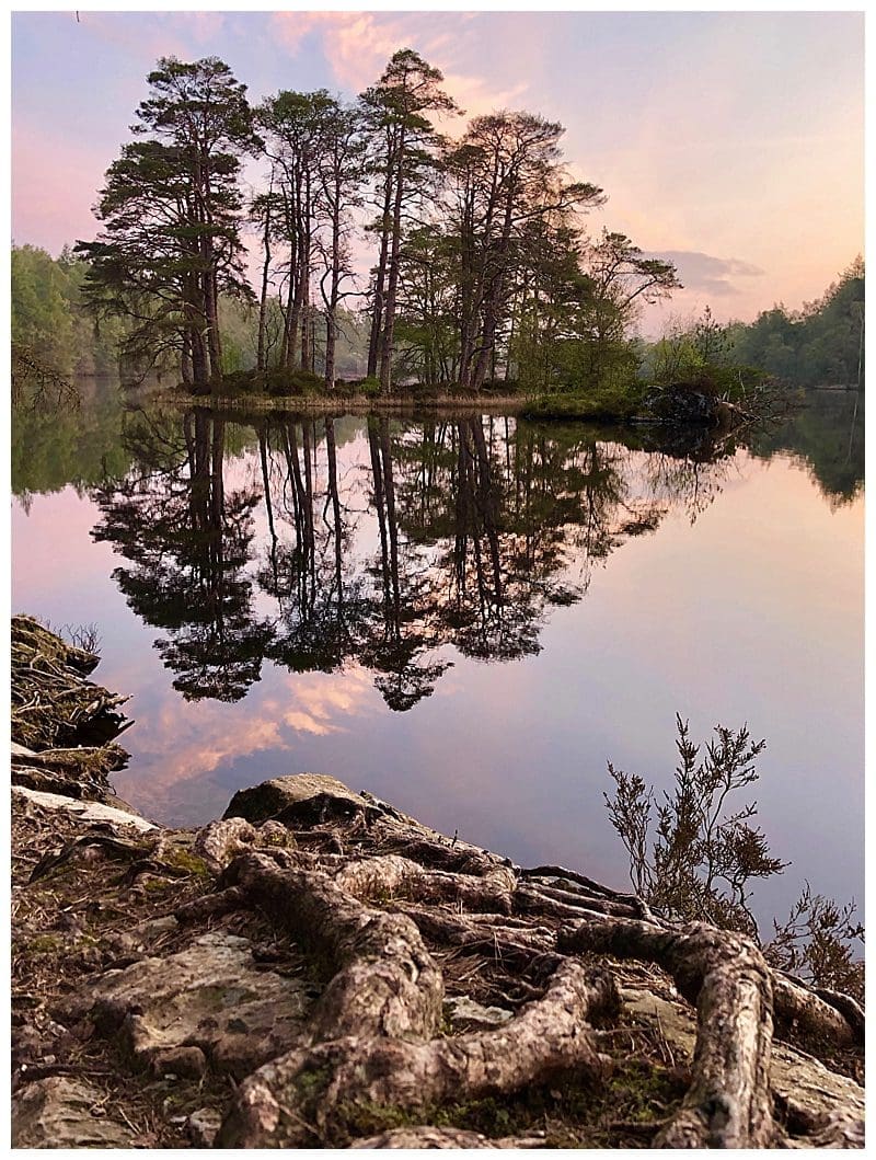 2019-05-30_0010.jpg 2019-05-30_0010.jpg