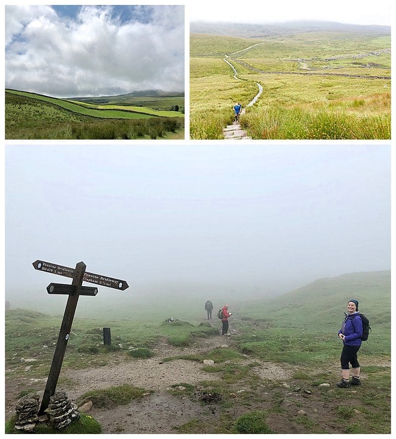 2019-07-28_0004.jpg 2019-07-28_0004.jpg