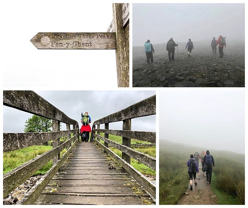 2019-07-28_0011.jpg 2019-07-28_0011.jpg