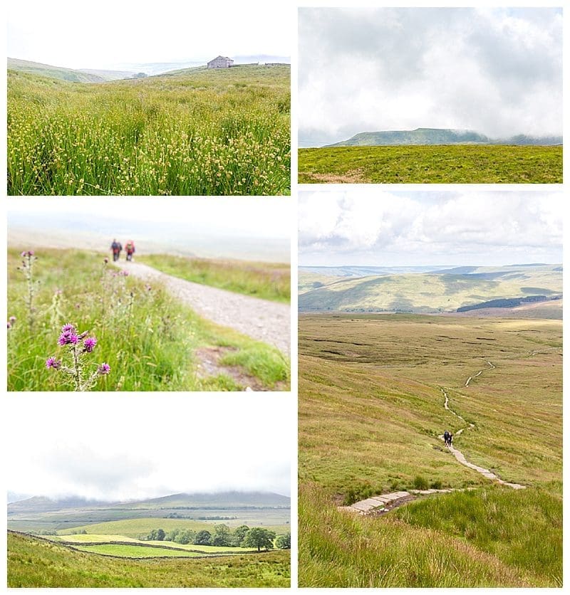 2019-07-28_0012.jpg 2019-07-28_0012.jpg