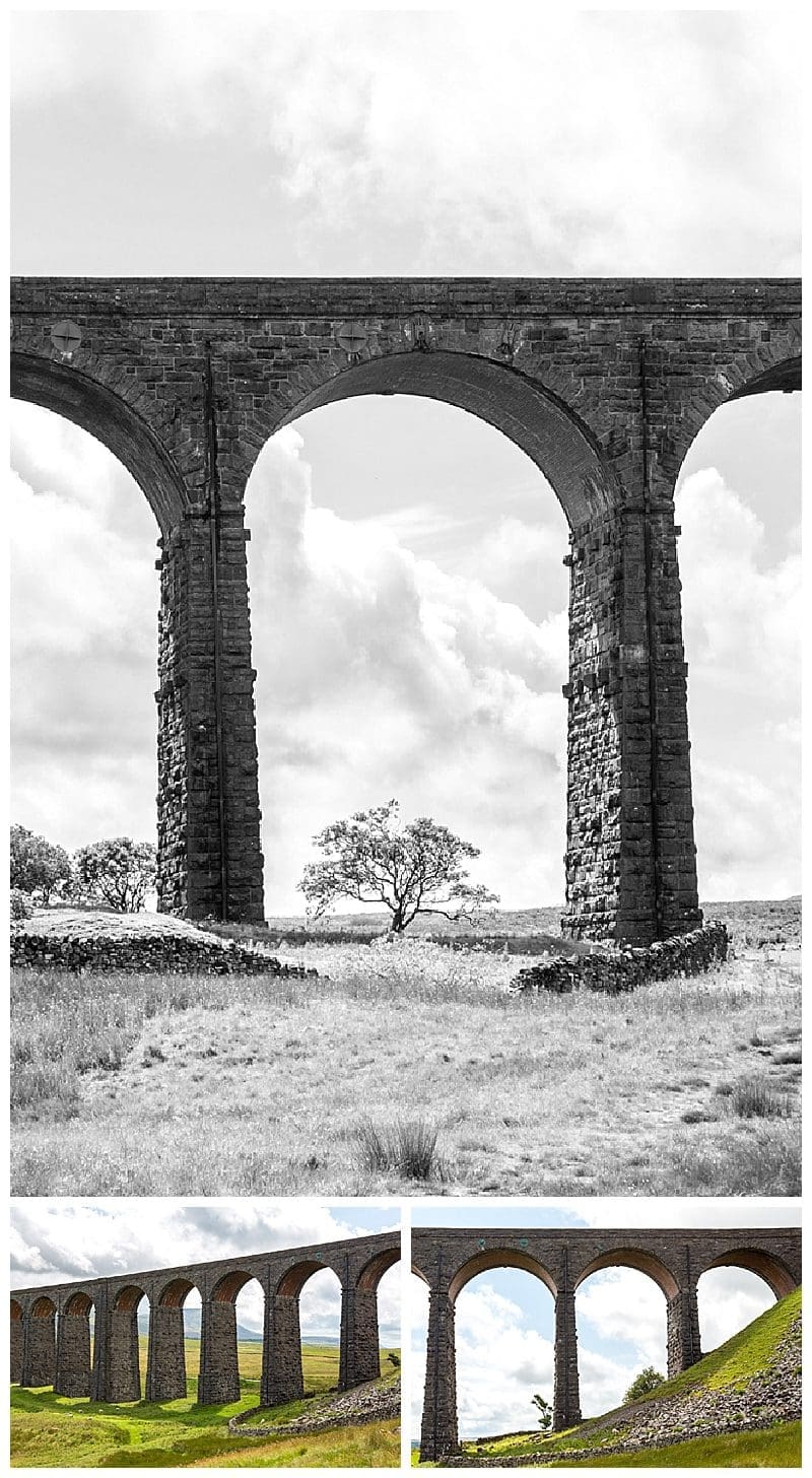 2019-07-28_0015.jpg 2019-07-28_0015.jpg