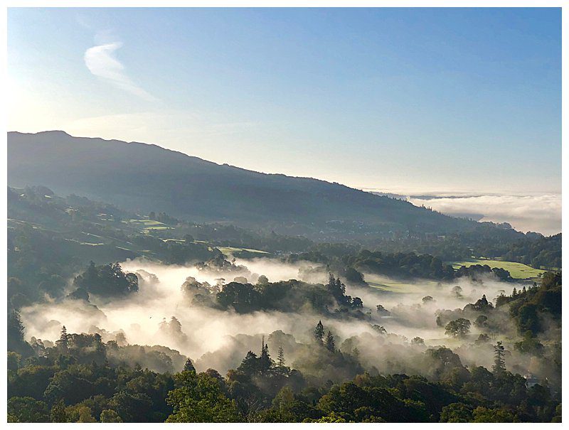 Lake District landscape with mist over the tree tops