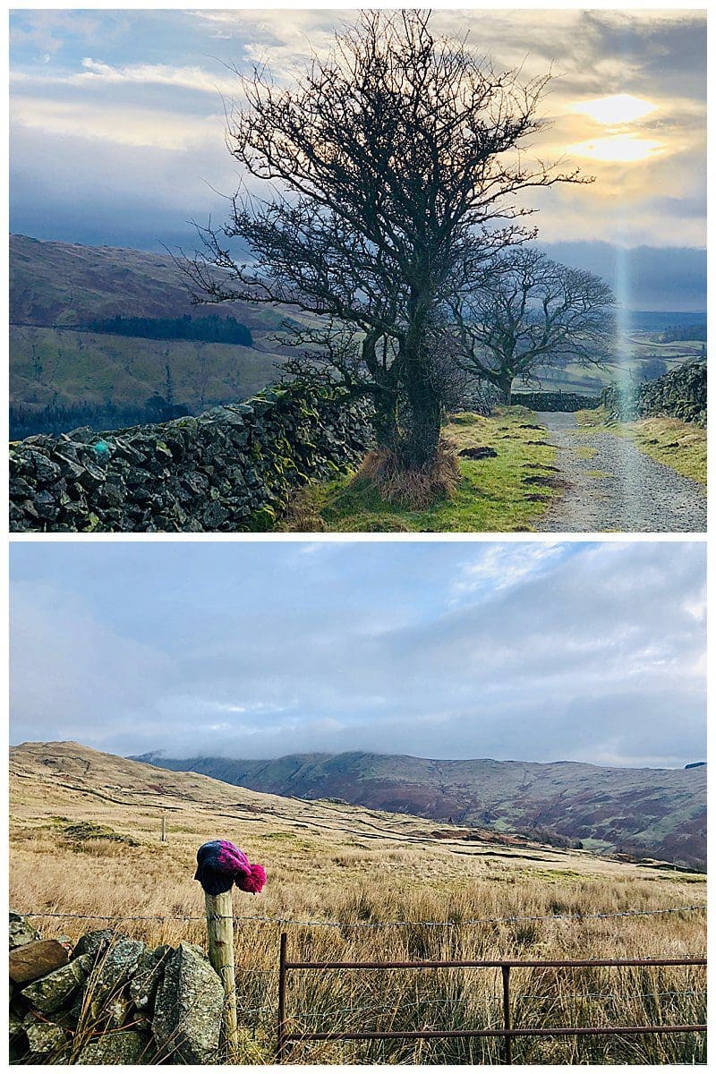 Tree-And-Bobble-Hat.jpg Tree-And-Bobble-Hat.jpg