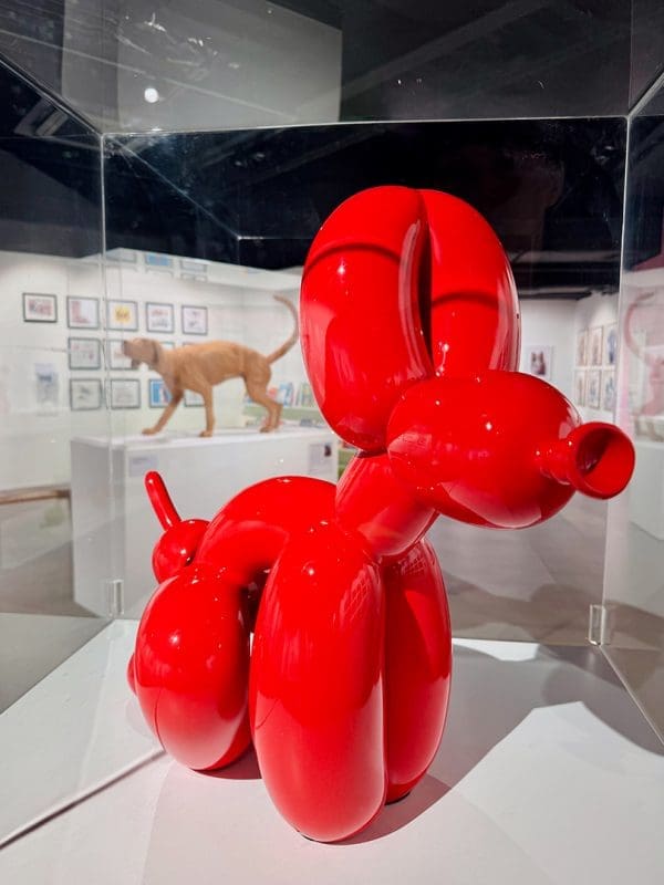 Rheged-Dogs-Life-Exhibition.